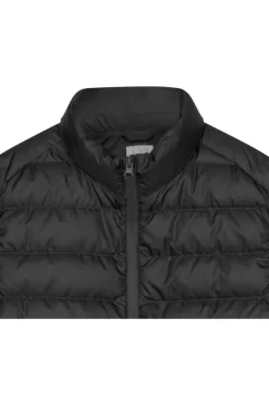 Seidensticker Daunenweste Stehkragen Schwarz -Ho ho ho, Mode in Grün. 154811 39 3 800