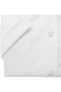 Hatico Regular Fit Hemd Weiss, Einfarbig -Ho ho ho, Mode in Grün. 3209 251 90 2 800BUay8LEMBxH1e