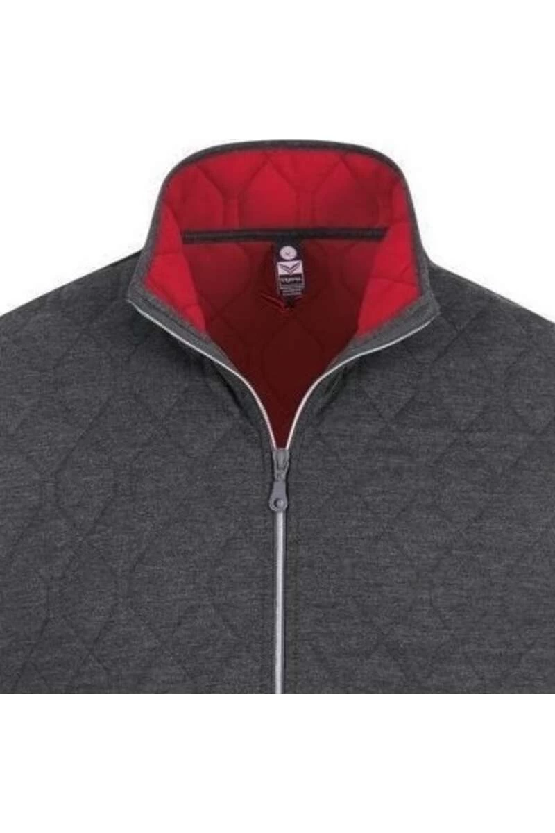 TRIGEMA Comfort Fit Sweatjacke Stehkragen Anthrazit 2 TRIGEMA Comfort Fit Sweatjacke Stehkragen Anthrazit – Bild 2