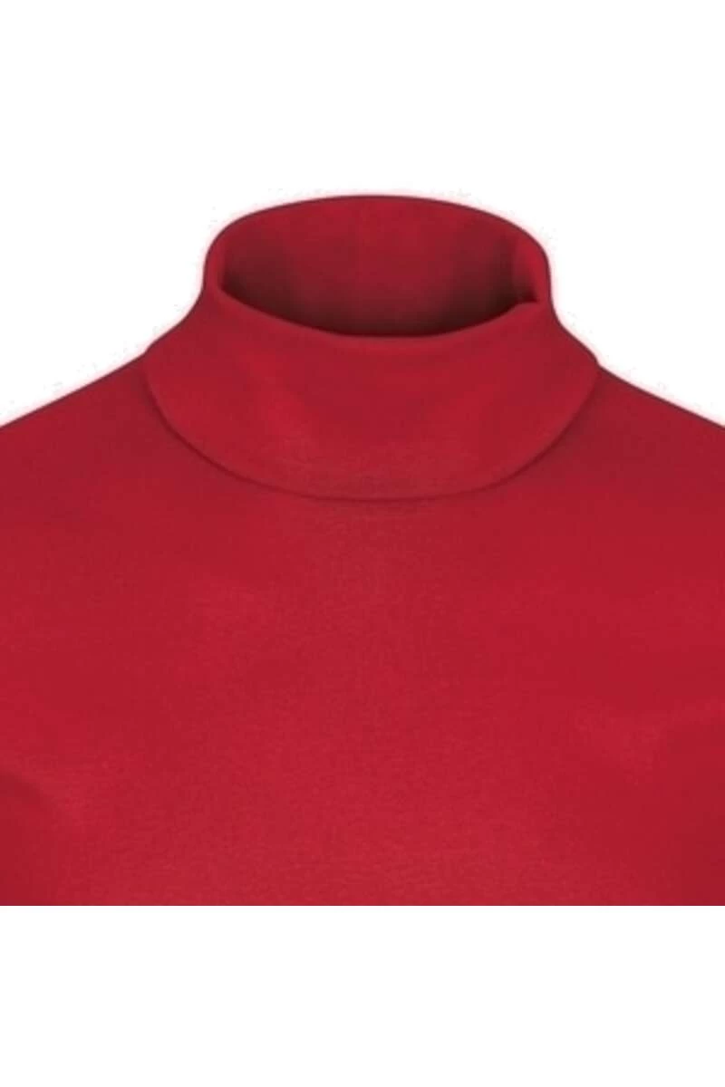 TRIGEMA Comfort Fit Herren Rollkragenpullover Kirsch 2 TRIGEMA Comfort Fit Herren Rollkragenpullover Kirsch – Bild 2